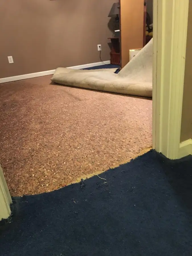 Carpet pad removal revealing water damage during Water Mitigation Services in Fruitville