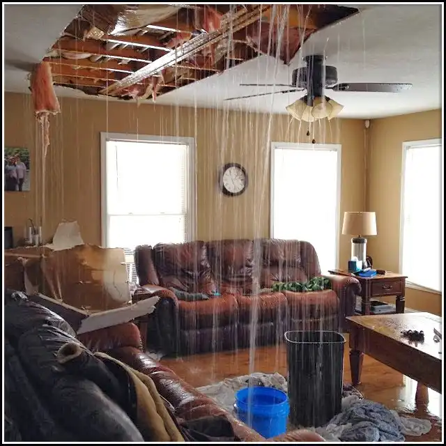 Water Damage Restoration services in Fruitville, FL