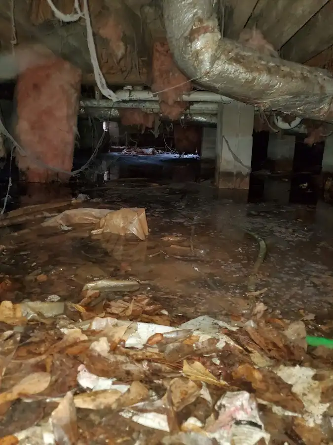 Crawl space flood assessment for Leak Detection & Repair in Fruitville