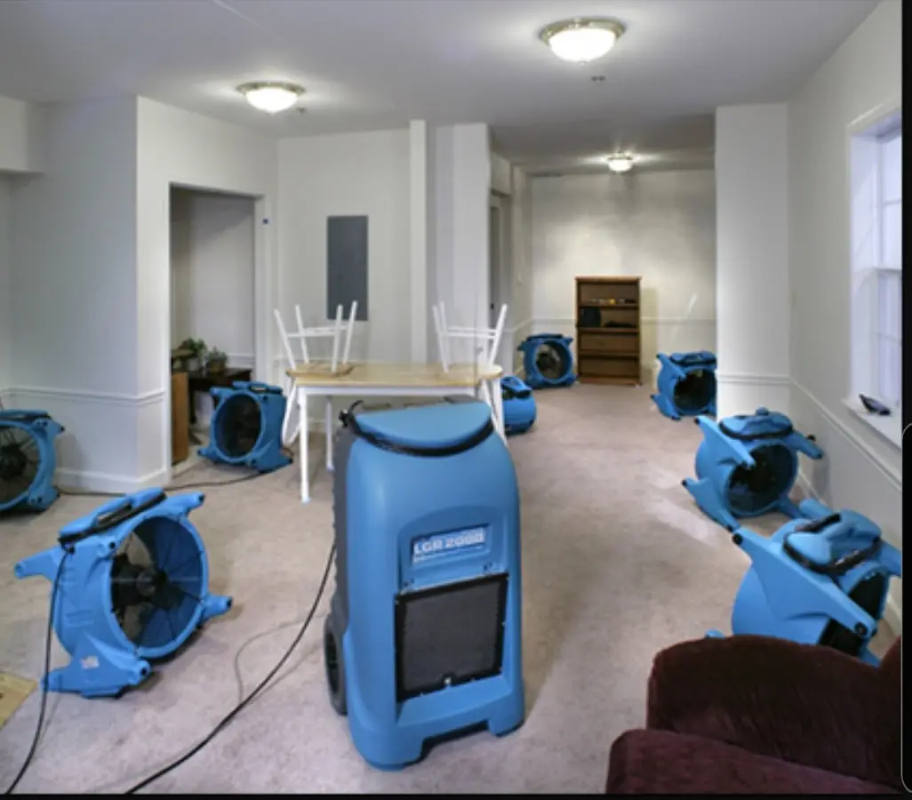 Air movers and dehumidifier setup for Water Extraction & Removal in Fruitville