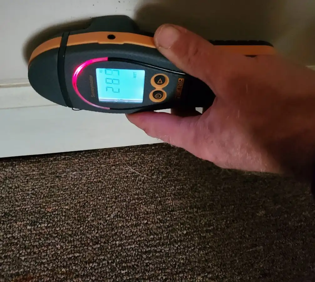 Moisture detection at baseboard during Storm Damage Restoration in Fruitville