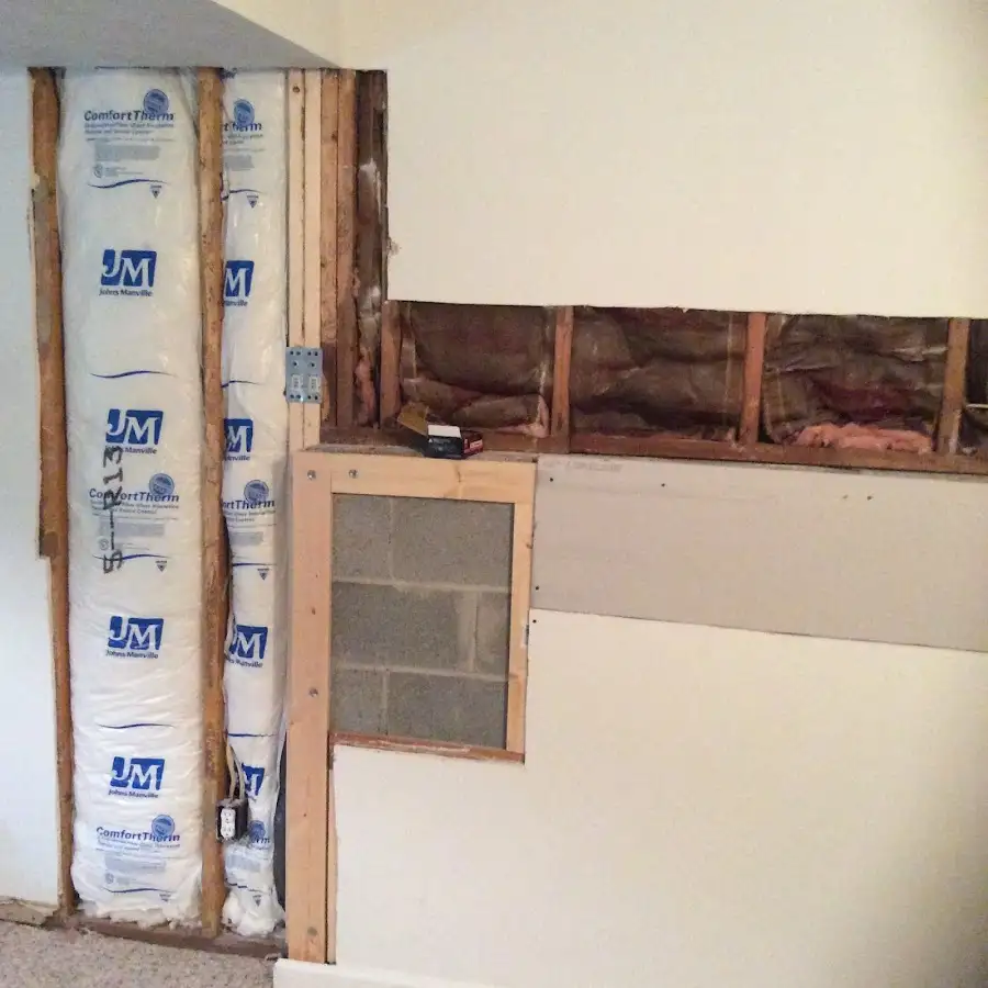 Wall insulation replacement during Odor Removal & Deodorization in Fruitville